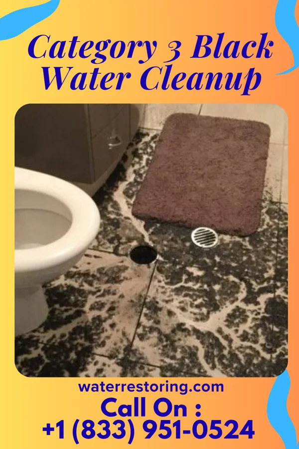 Category 3 Black Water Cleanup in Hidden Valley, IN