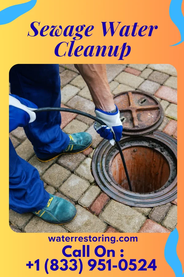 Sewage Water Cleanup in Hidden Valley, IN